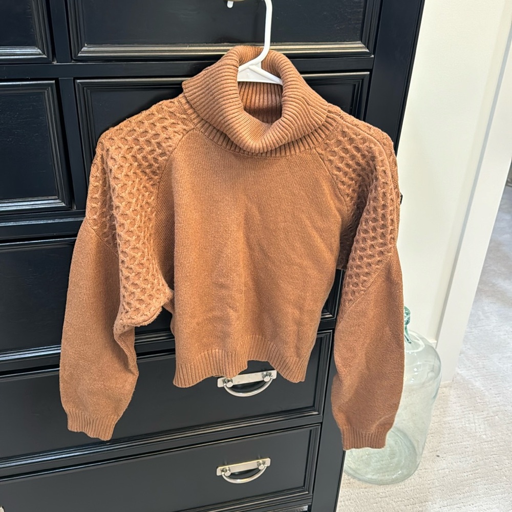 BB Dakota Turtle Neck Cropped Sweater